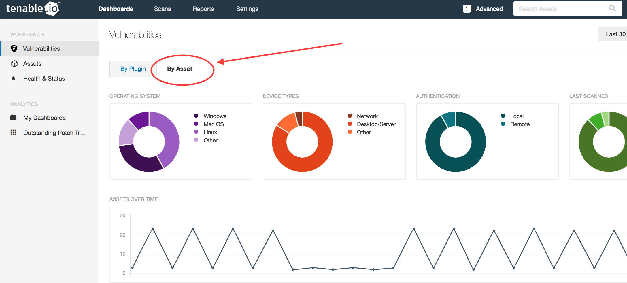 Vulnerability Workbench By Assets tab