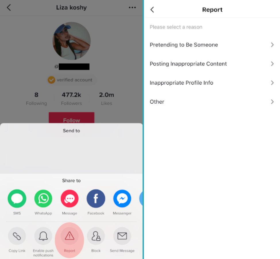 Scams dans TikTok : How Social Currency Fuels the Economy for Impersonation Accounts