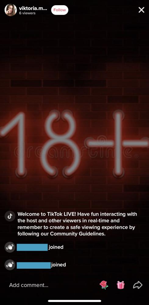 TikTok Live Follower Count / X