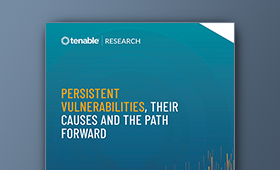 Persistent Vulnerabilities, Their Causes and the Path Forward