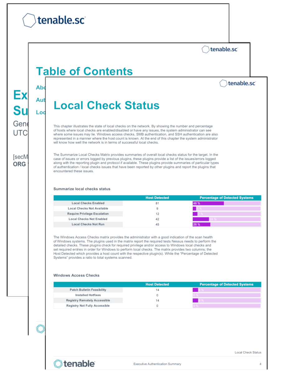 Executive Authentication Summary Report