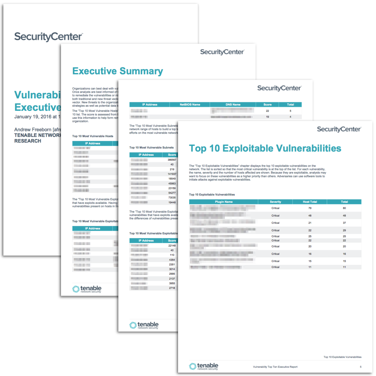 Vulnerability Top Ten Executive Report