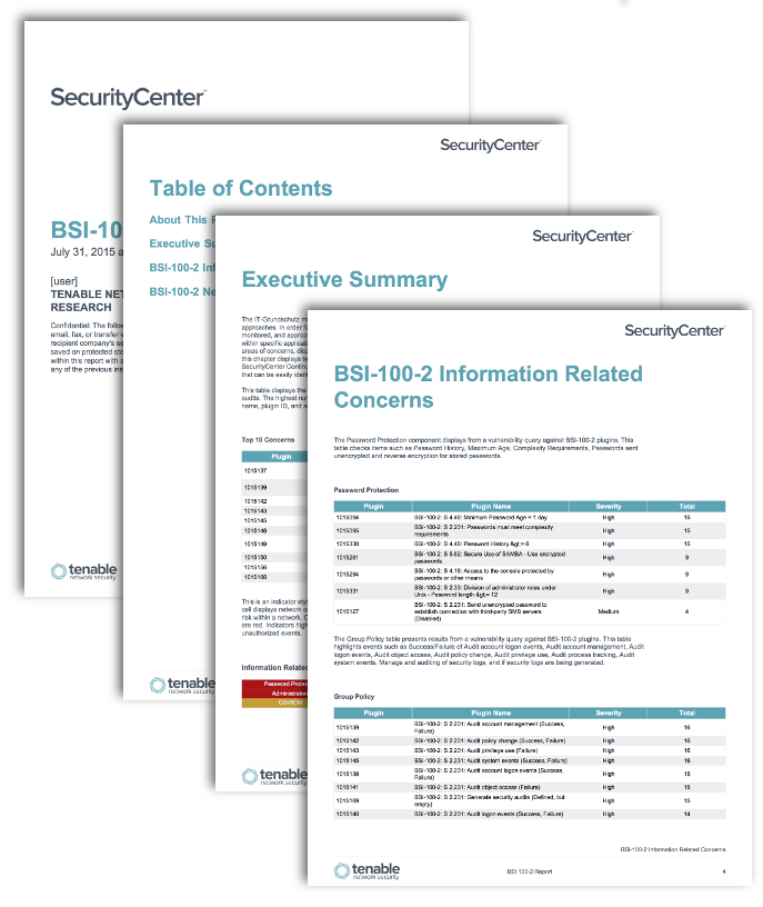 information report template