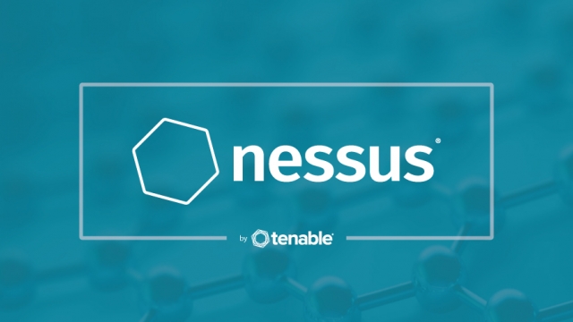 how to use nessus to check vurnerable website