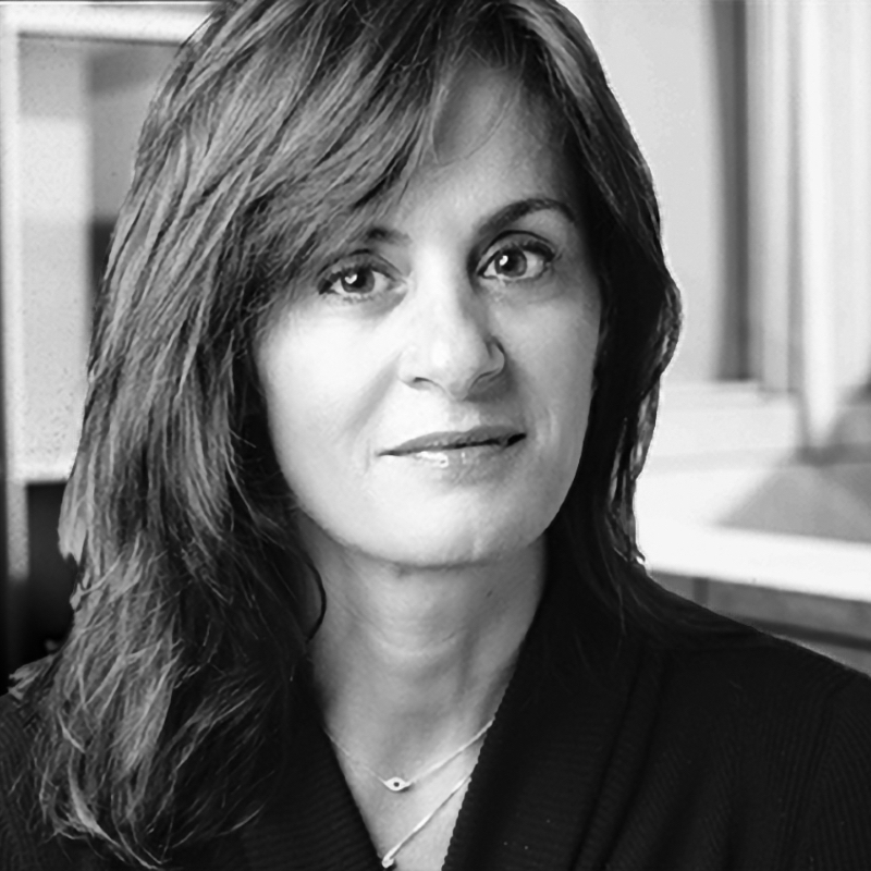 Niloofar Razi Howe